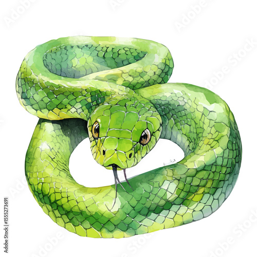 watercolor of Smooth Green Snake, vector, isolated on a white background.