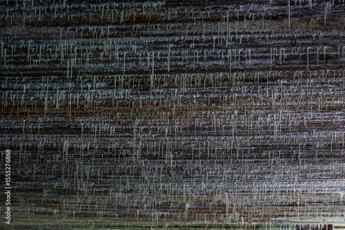 Gierloz, Poland - August 16, 2021. Rests of the buildings in Wolfs Liar area