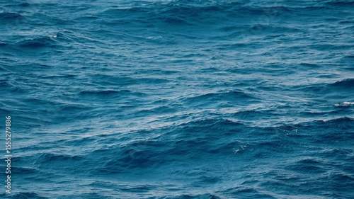 The calm ocean waves gently roll over the deep blue water, creating a completely tranquil atmosphere that is simply perfect for relaxation and for inspiring various naturethemed projects and ideas