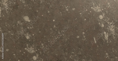 Foto Ultra HD 6K Realistic Stone Texture – Premium Grunge Surface