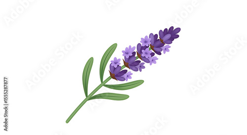 A purple lavender sprig with small blossoms along the stem, realistic vector emoji with clean lines.