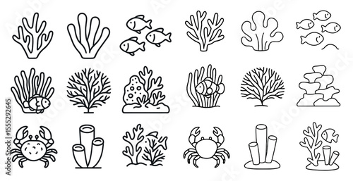 Series of black and white drawings of marine life, including fish, coral, and sea creatures like crabs and octopuses