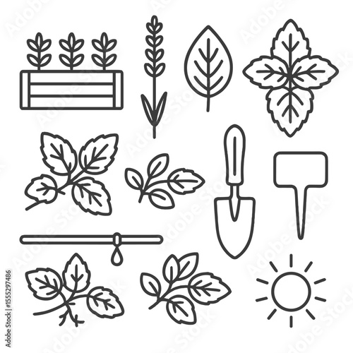 Aromatic Herb Icons. Line style icons of Aromatic Herb Garden: raised garden bed, lavender stalk, basil leaf, lemon balm sprig,