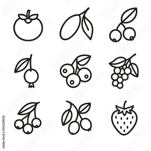 Old Growth Fruit Icons. Line style icons of Old Growth Forest Fruits: American persimmon, pawpaw, hackberry, mayhaw, black gum