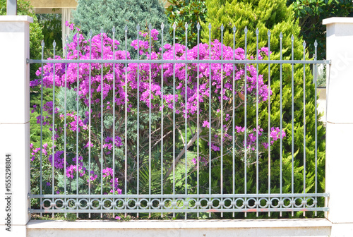 metal fence with arrows on top and flowers as a background