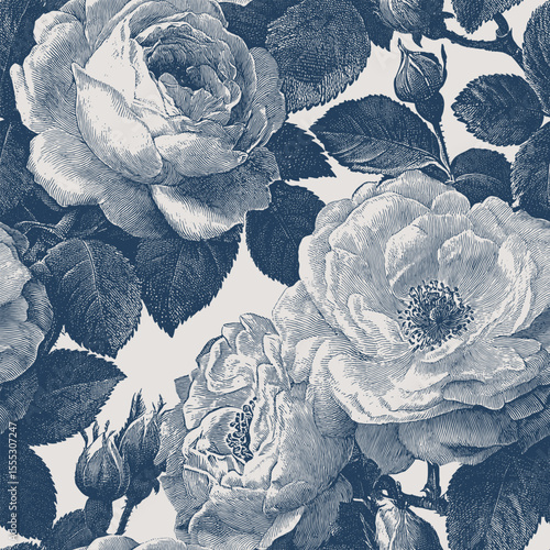 Seamless pattern with garden roses isolated on a changeable background. Vintage engraving or ink drawing style vector illustration.