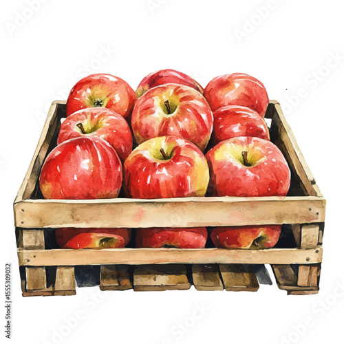 Row Apples Farm Stand, watercolor clipart vector, isolated on a white background.