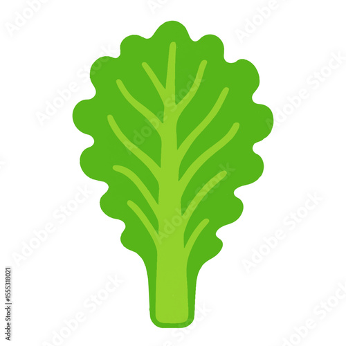 lettuce leaf illustration vector on white background
Vector illustration icon fruits, vegetables on white background
