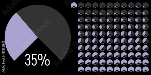 Set of circular sector arc percentage diagrams meters progress bar from 0 to 100 ready-to-use for web design, user interface UI or infographic - indicator with purple