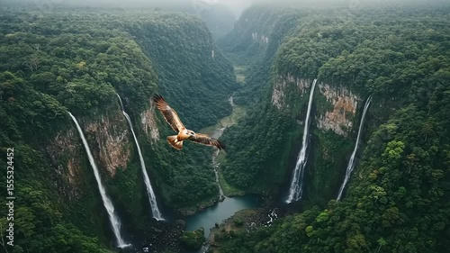Waterfall landscape with a bird in flight