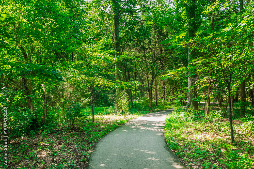 Fototapeta premium In the heart of the woods, the sculptures breathe life into the landscape, creating a harmonious blend of creativity and nature, Cheekwood, Nashville, Tennessee, United States of America