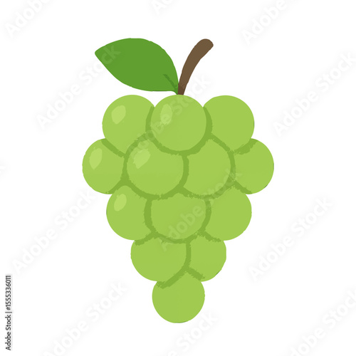 green grapes illustration vector on white background
Vector illustration icon fruits, vegetables on white background