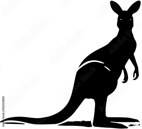 kangaroo vector illustration