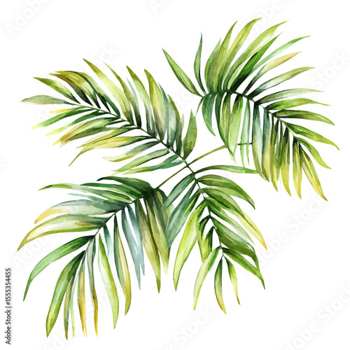 Schilderij op canvas Palm Leaves Swaying Breeze, watercolor vector, isolated on a white background
