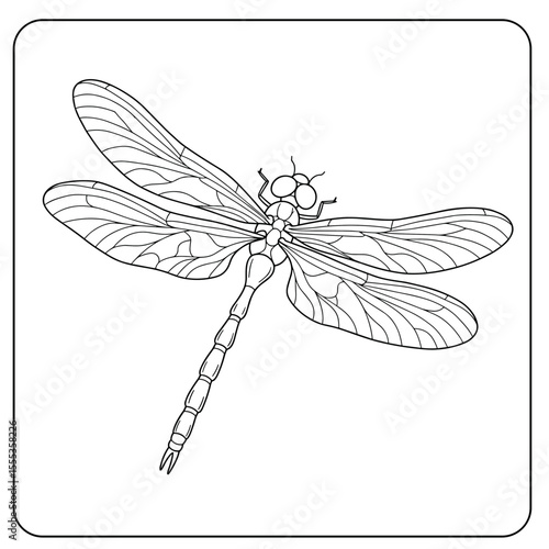 A finely detailed dragonfly seen from above, showcasing delicate wings, a segmented body, and symmetrical elegance in clean black-and-white line art.