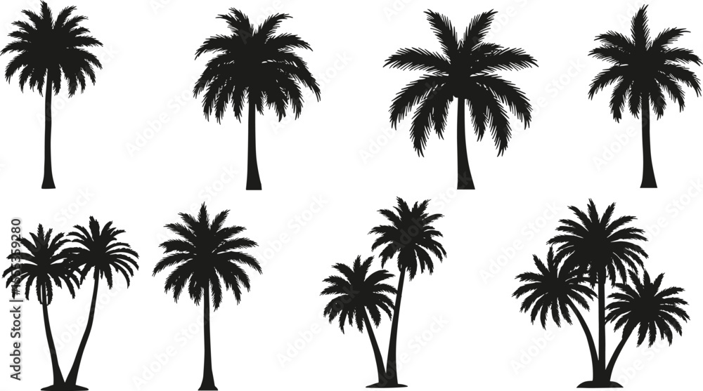 Fototapeta premium Palm tree silhouette collection, tropical summer tree illustration, black coconut palm vector design, beach tree isolated elements for decoration