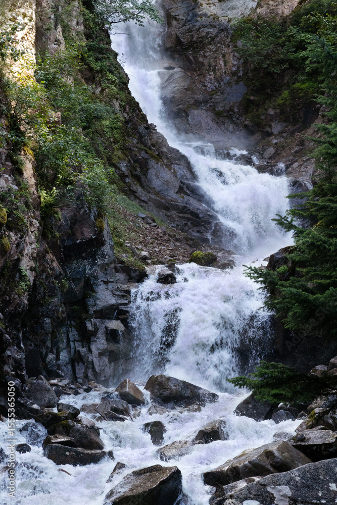 Fototapeta premium Forest Waterfall