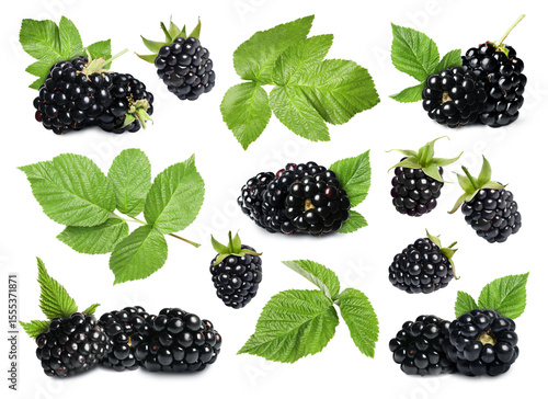 Fresh blackberries and green leaves on white background, collage