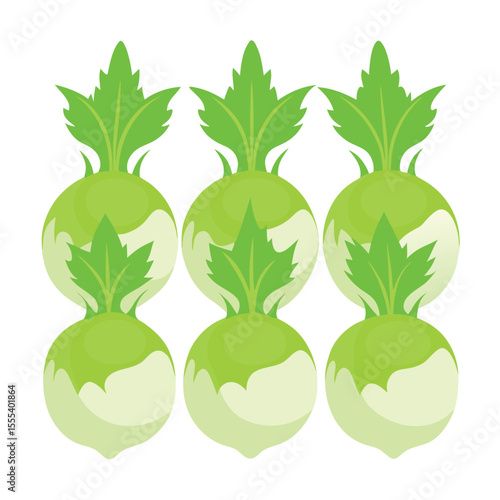 six kohlrabi vegetable separately set  isolated  on white background