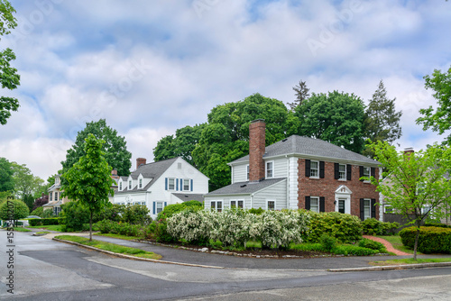 Billede på lærred Peaceful residential street corner with vibrant landscaping and historic-style h