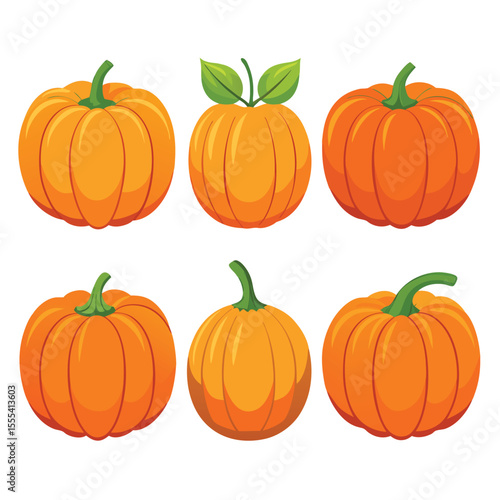 six pumpkin vegetable separately set  isolated  on white background