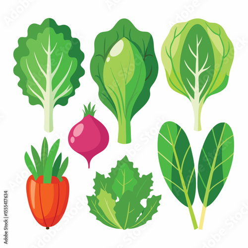 six salad greens vegetable separately set  isolated  on white background