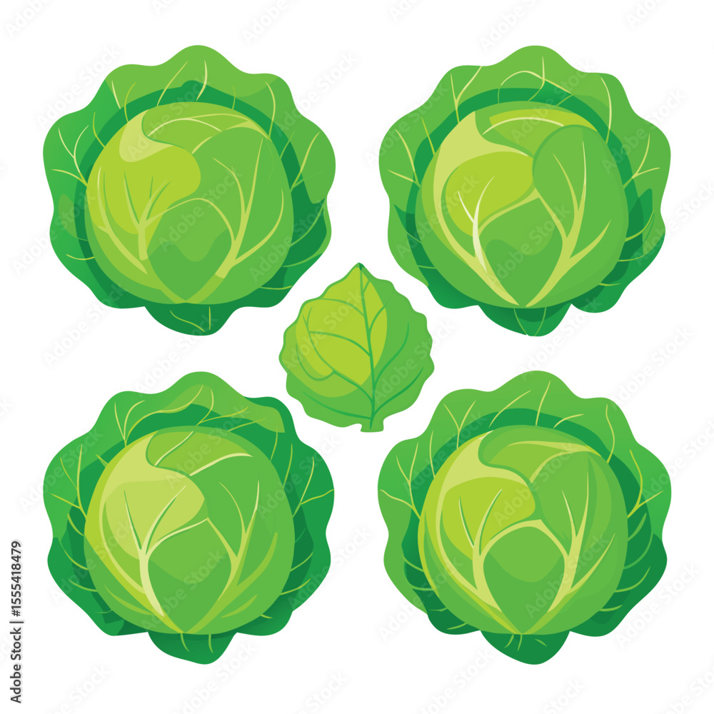 Obraz premium six savoy cabbage vegetable separately set isolated on white background