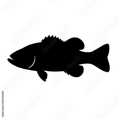 Silhouette of Guadalupe Bass Fish with Sharp Fin Details on White Background