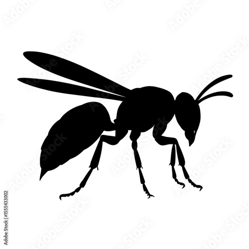 Silhouette of Executioner Wasp with Detailed Wings and Legs