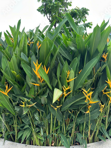 Manifestation of natural beauty in patterns, Greenery-inspired design
