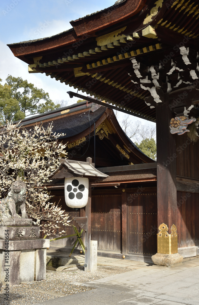 Fototapeta premium 早春の北野天満宮 三光門付近(京都市上京区)