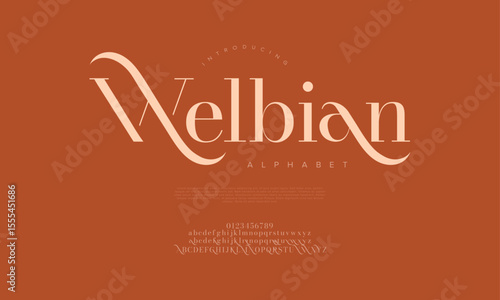 Decorative serif font with long elegant swashes, designed for modern luxury and branding