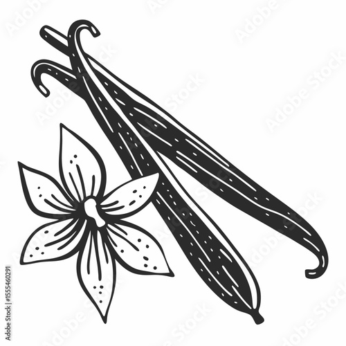 Hand-Drawn Illustration of Vanilla Bean and Flower