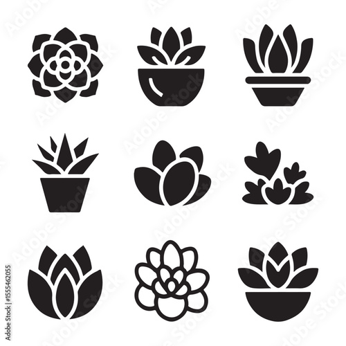 Succulent Icon Set for Decor. Vector Illustration of Various Succulent Plants in Pots

