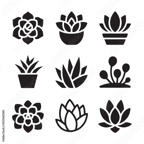 Succulent Icon Set for Decor. Vector Illustration of Various Succulent Plants in Pots
