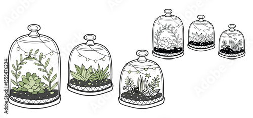 Delicate hand drawn terrarium illustrations featuring various green succulents and charming decorative string lights elements.