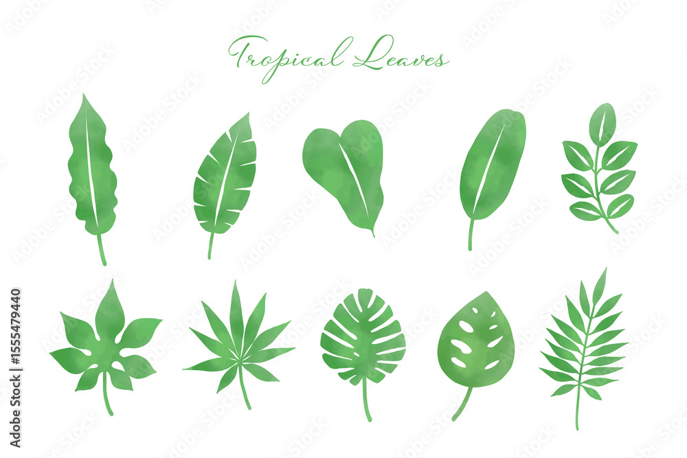 Naklejka premium Tropical Leaf Illustration Set – Vivid Green (Transparent PNG)