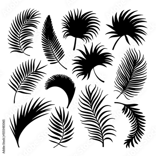 Palm leaves vector silhouette set tropical leaf design elements for summer exotic botanical decoration, 100 char