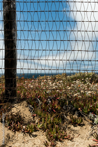 barbed wire fence in the garden
