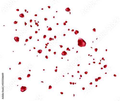 Red rose and cherry blossom falling Elements for Valentine's Day, Mother's Day, March 8. sakura petals on fake transparent background, isolated