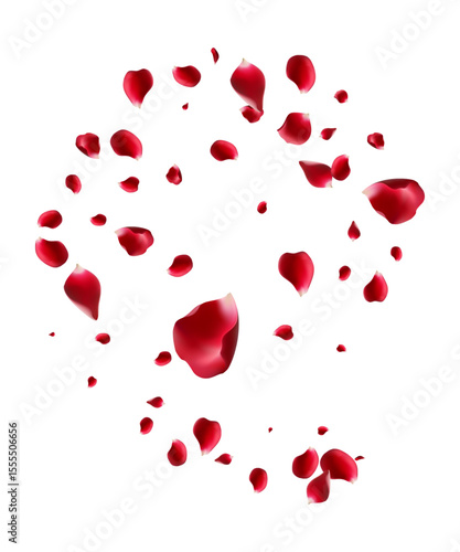 Red rose and cherry blossom falling Elements for Valentine's Day, Mother's Day, March 8. sakura petals on fake transparent background, isolated