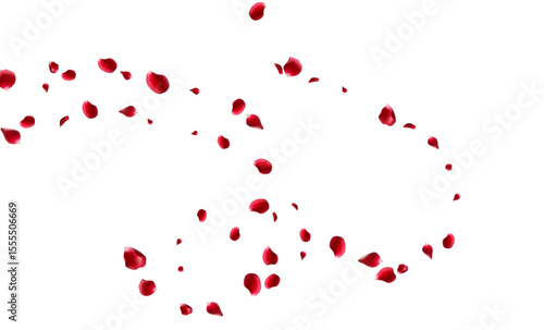 Red rose and cherry blossom falling Elements for Valentine's Day, Mother's Day, March 8. sakura petals on fake transparent background, isolated