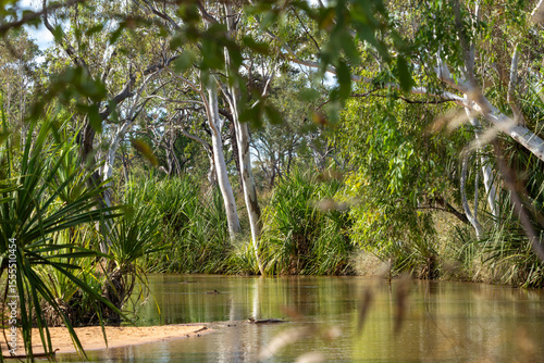 River and bush scene in Australian outback.
