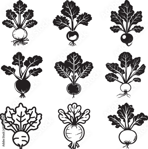 Set of Kohlrabi icon clean simple silhouette