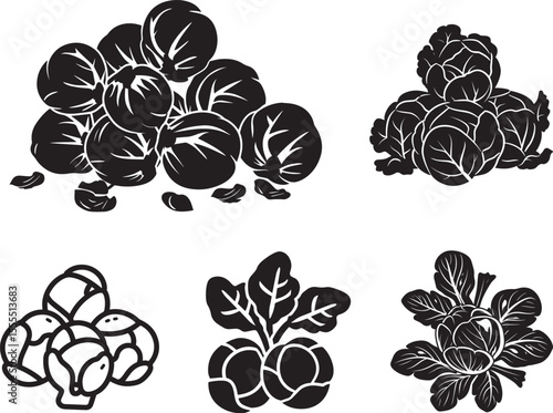 Set of Brussels Sprouts clean simple silhouette