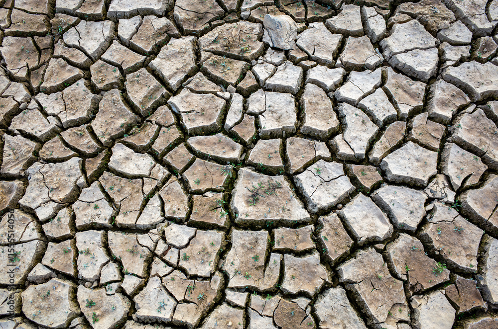 Parched, cracked earth in a dry reservoir bed, showing the effects of extreme drought and water scarcity. Broken clay surface with a few traces of green vegetation trying to survive in harsh condition Parched, cracked earth in a dry reservoir bed, showing the effects of extreme drought and water scarcity. Broken clay surface with a few traces of green vegetation trying to survive in harsh condition