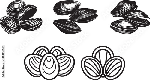 Set of Clams icon clean simple silhouette