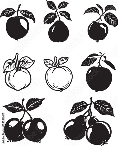 Set of Quince fruit icon clean simple silhouette