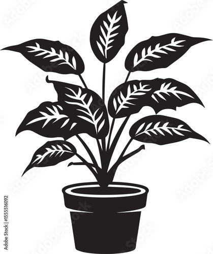 Dieffenbachia - Dumb Cane icon clean simple