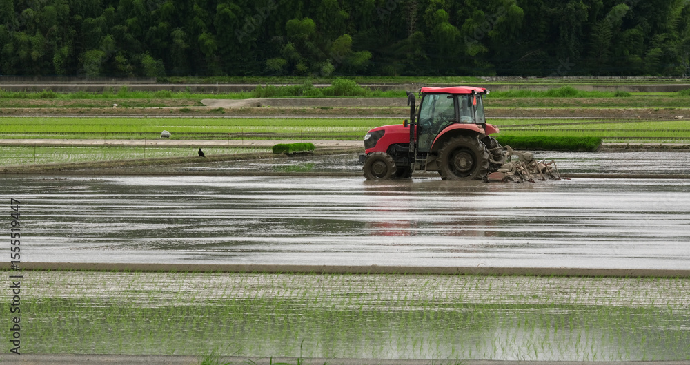 Fototapeta premium 田おこしの風景